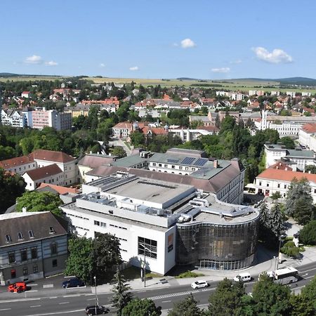 Panorama View Apartment Veszprem Bagian luar foto