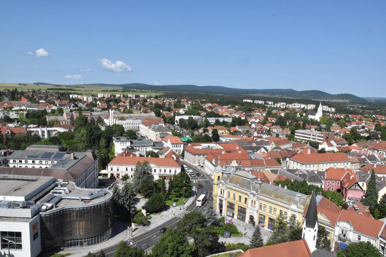 Panorama View Apartment Veszprem Bagian luar foto